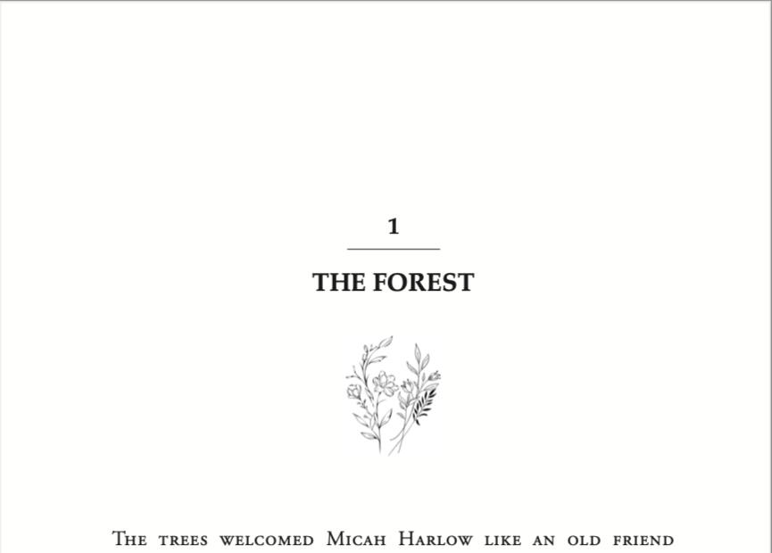 Decorative chapter header Decorative chapter header